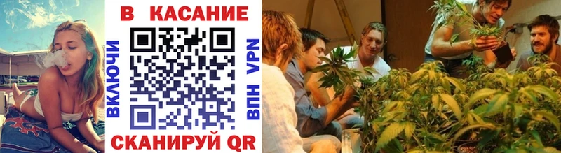 A PVP Новочеркасск